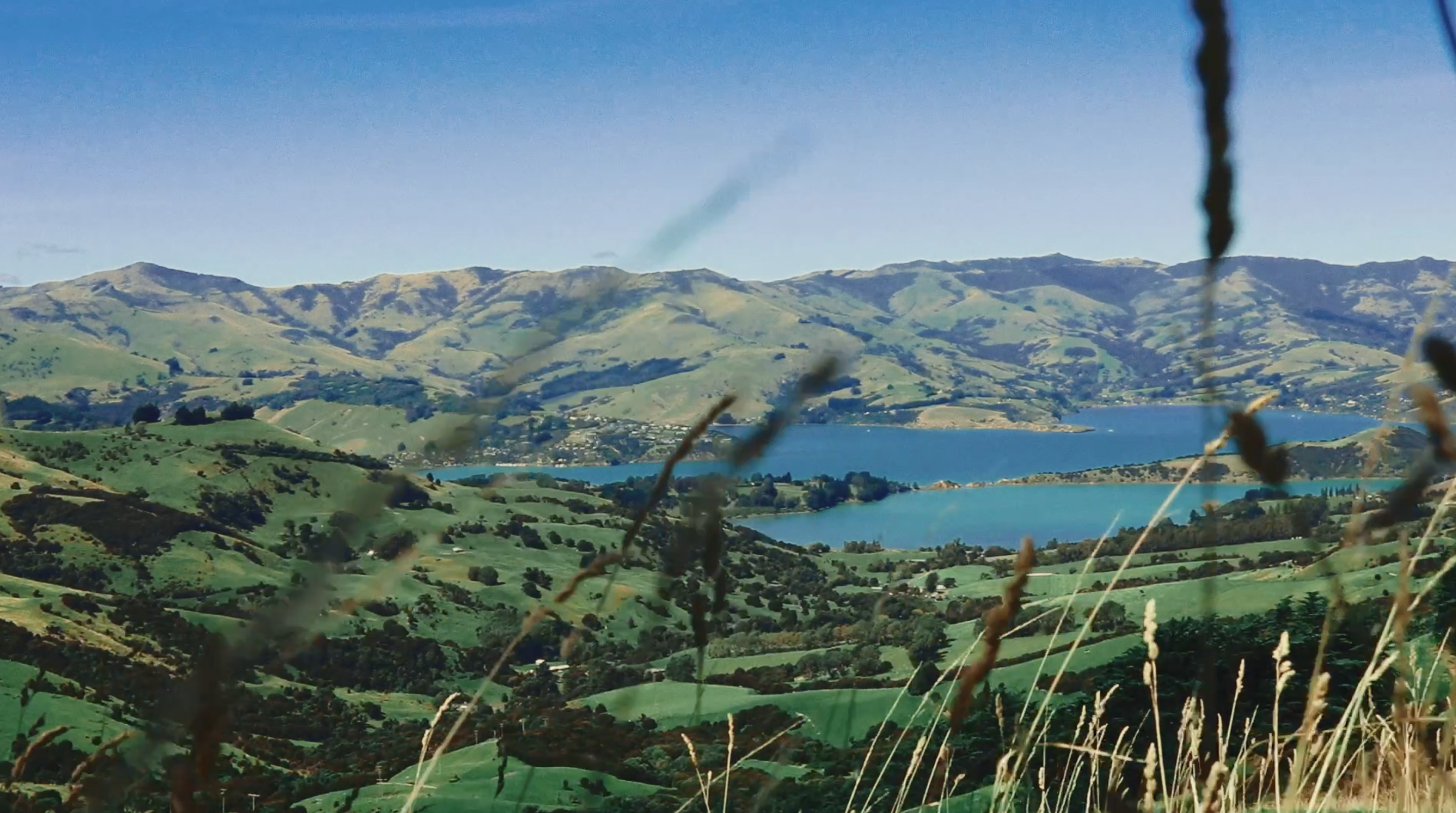 Akaroa Grassy View