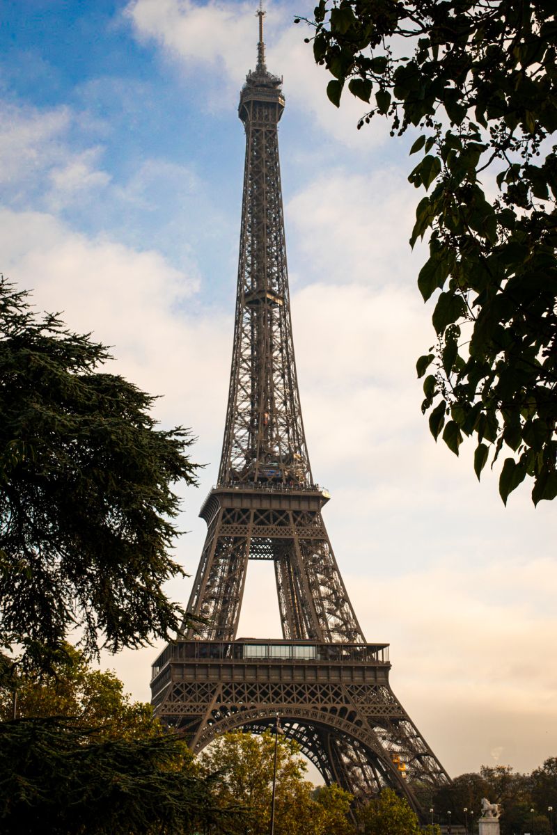 Bespoke Software Architecture