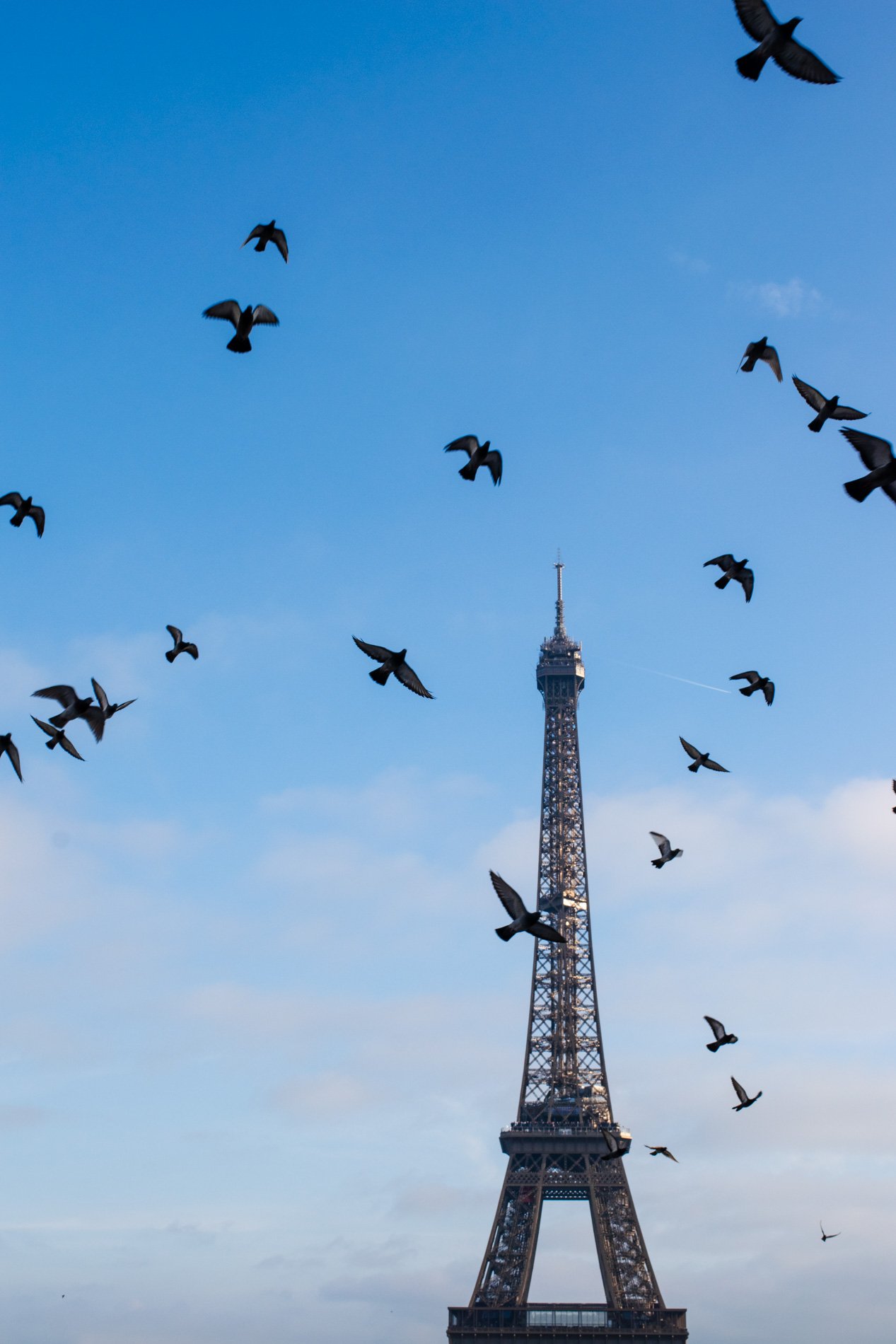 AI Is Turning Shifts Into Signals